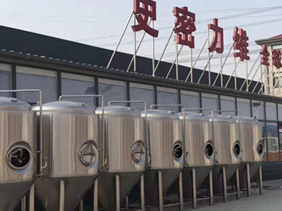 项城精酿啤酒设备厂—如何判断精酿啤酒设备的密封件需要更换？